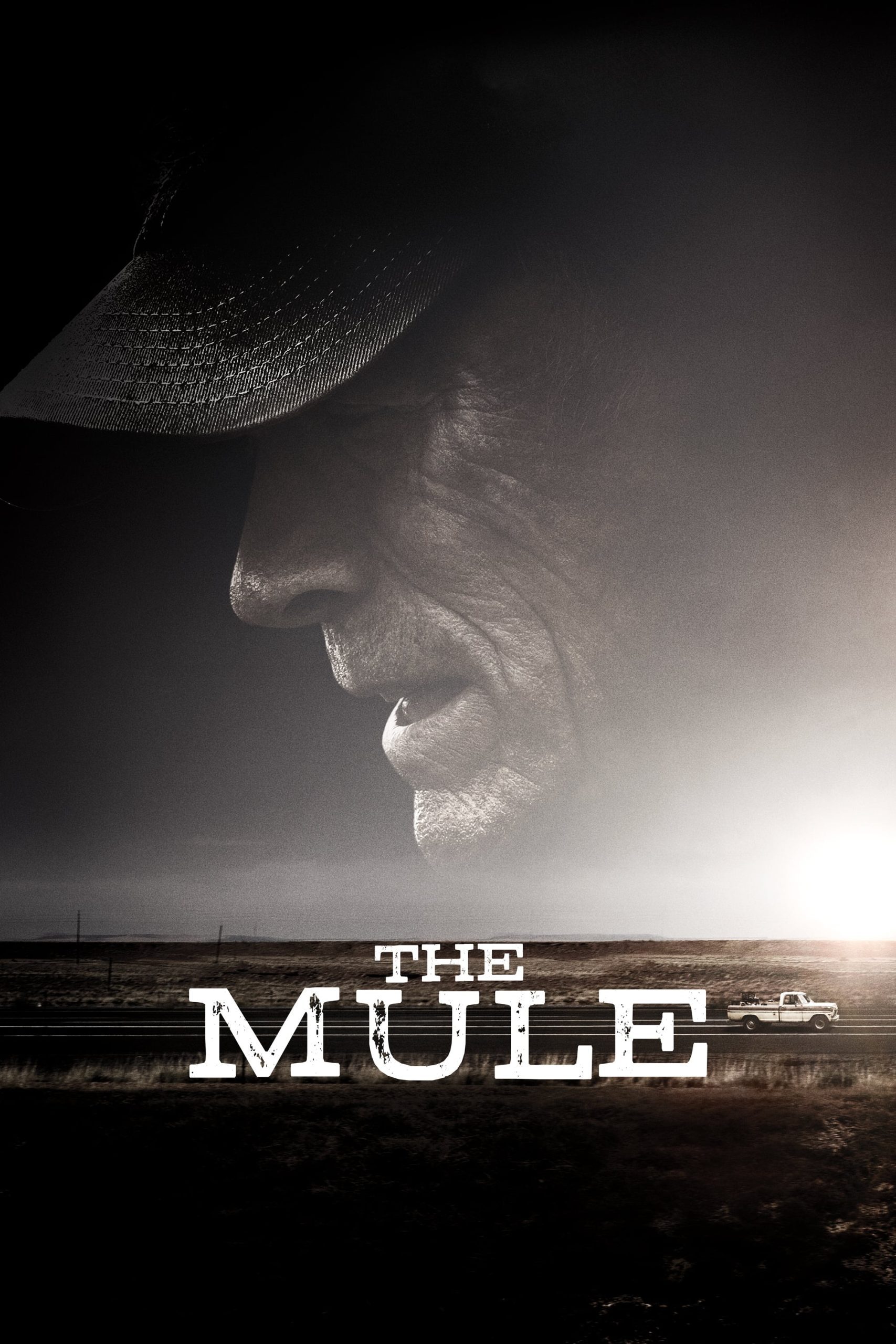 ดูหนังออนไลน์ฟรี The Mule เดอะ มิวล์