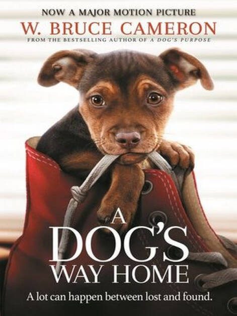 ดูหนังออนไลน์ A Dog’s Way Home เพื่อนรักผจญภัยสี่ร้อยไมล์