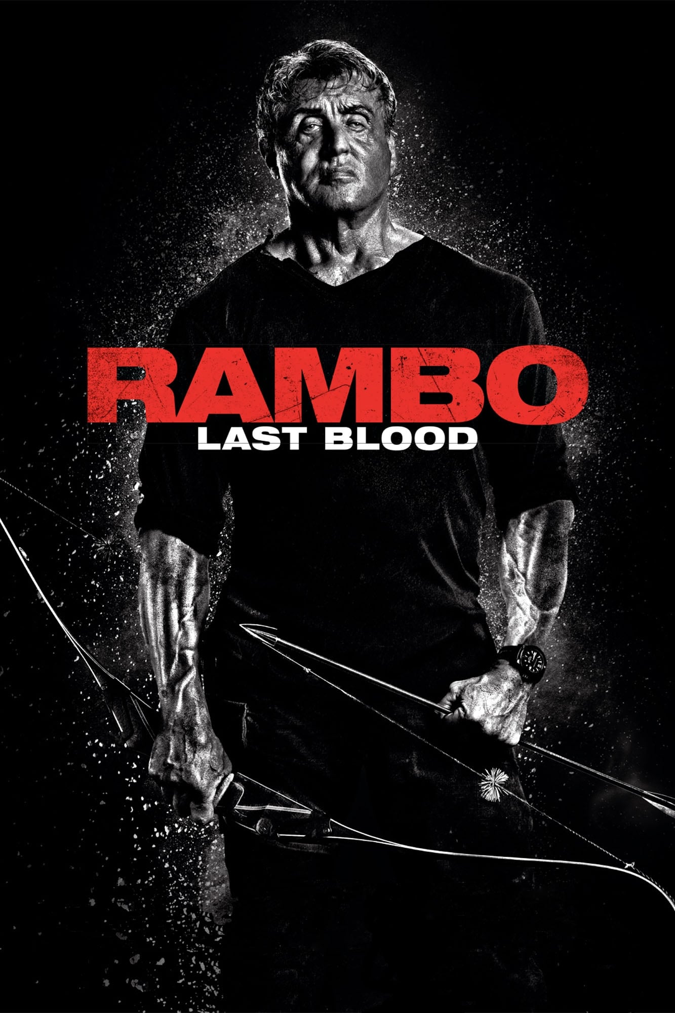 ดูหนังออนไลน์ Rambo: Last Blood แรมโบ้ 5 นักรบคนสุดท้าย