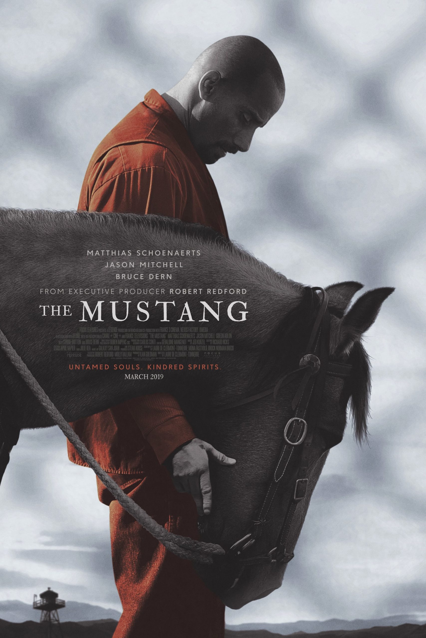 ดูหนังออนไลน์ฟรี The Mustang มัสแตง
